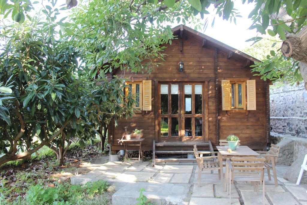 Camping Tropical Альмуньєкар Номер фото